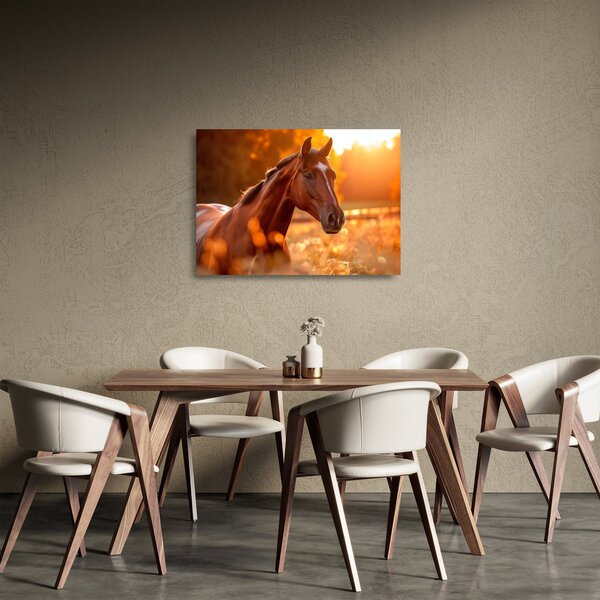 Staklena slika - Konj u zalasku sunca (70x50 cm)