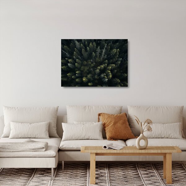 Staklena slika - Šuma (70x50 cm)
