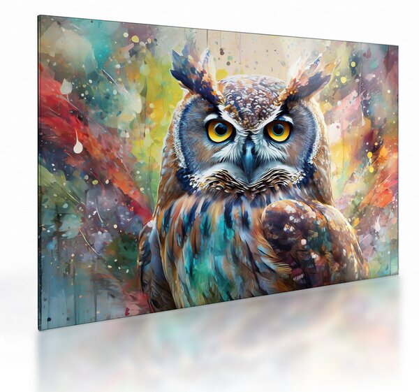 Staklena slika - Slikanje sove (70x50 cm)