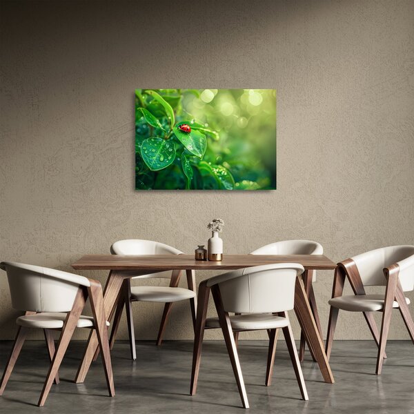 Staklena slika - Bubamara (70x50 cm)