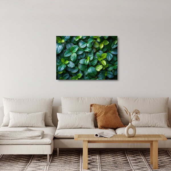 Staklena slika - Zelene biljke (70x50 cm)