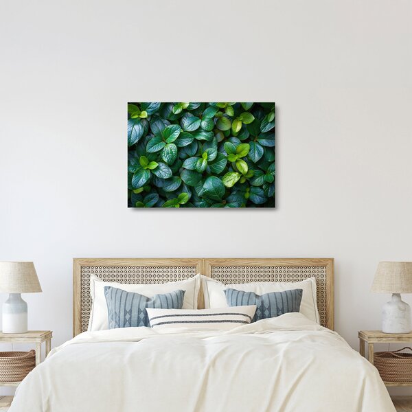 Staklena slika - Zelene biljke (70x50 cm)