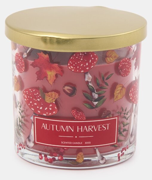Sinsay - Mirisna svijeća Autumn Harvest