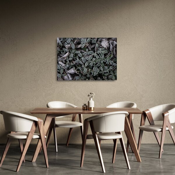 Staklena slika - Smrznute biljke (70x50 cm)