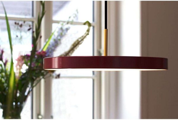 Asteria Plus Visilica Medium Ruby Red/Black Top - UMAGE