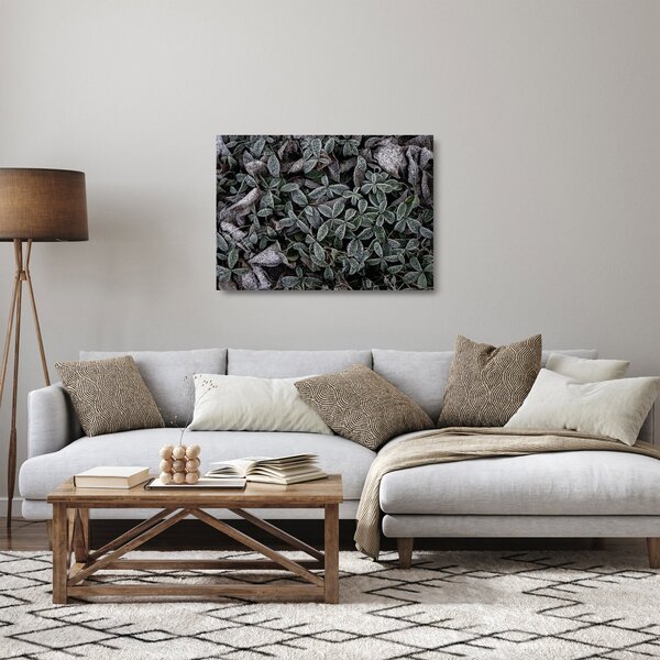 Staklena slika - Smrznute biljke (70x50 cm)
