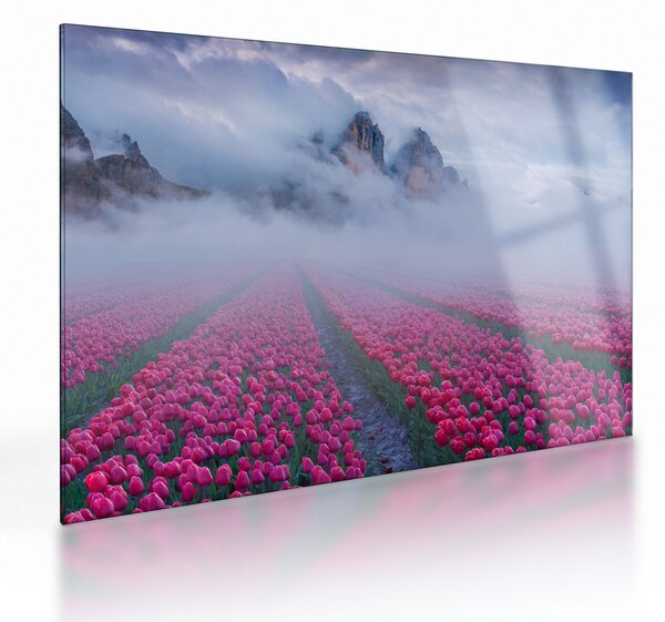 Staklena slika - Krajolik s poljima tulipana (70x50 cm)