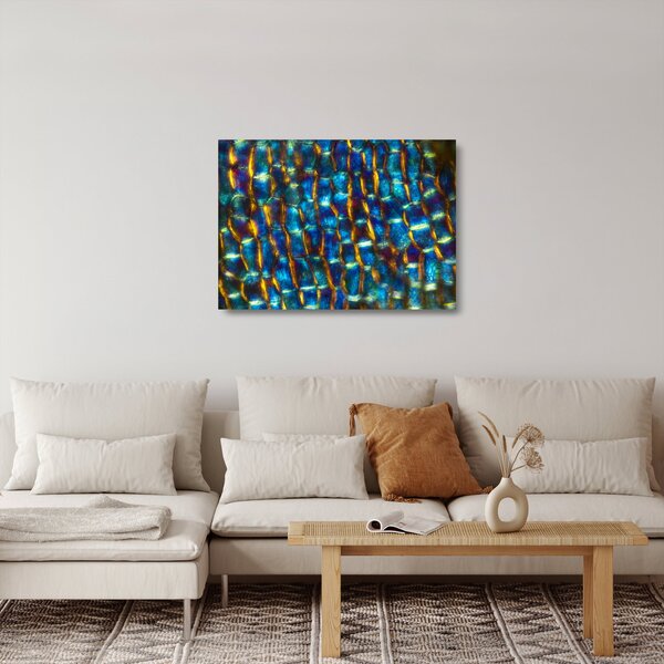 Staklena slika - Stanične stijenke (70x50 cm)