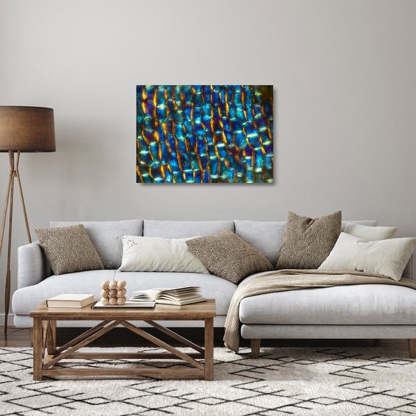 Staklena slika - Stanične stijenke (70x50 cm)