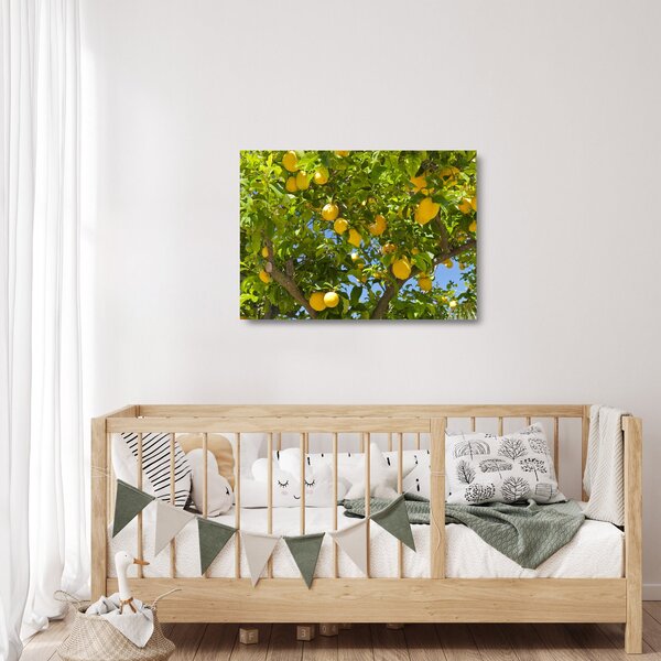 Staklena slika - Limun (70x50 cm)