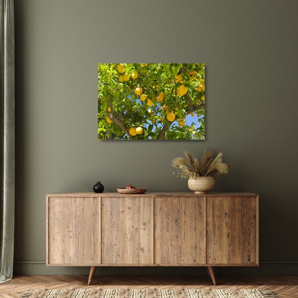 Staklena slika - Limun (70x50 cm)