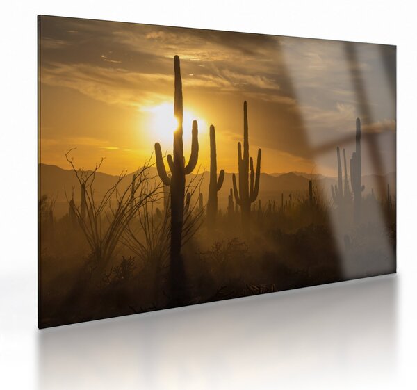 Staklena slika - Saguaro kaktusi (70x50 cm)