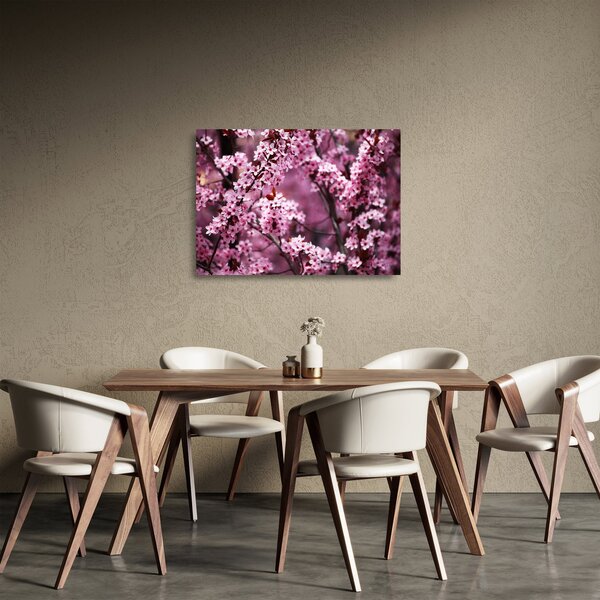 Staklena slika - Ružičasta sakura (70x50 cm)