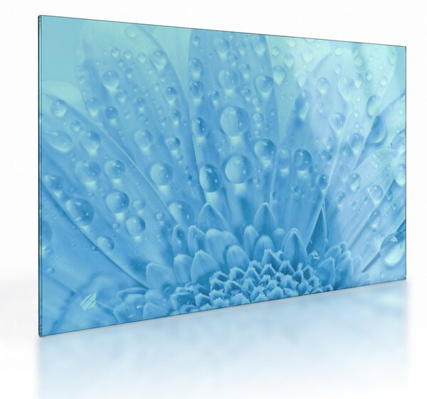 Staklena slika - Makro snimak cvijeta (70x50 cm)