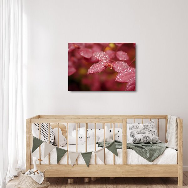 Staklena slika - Makro slika ulaznice (70x50 cm)