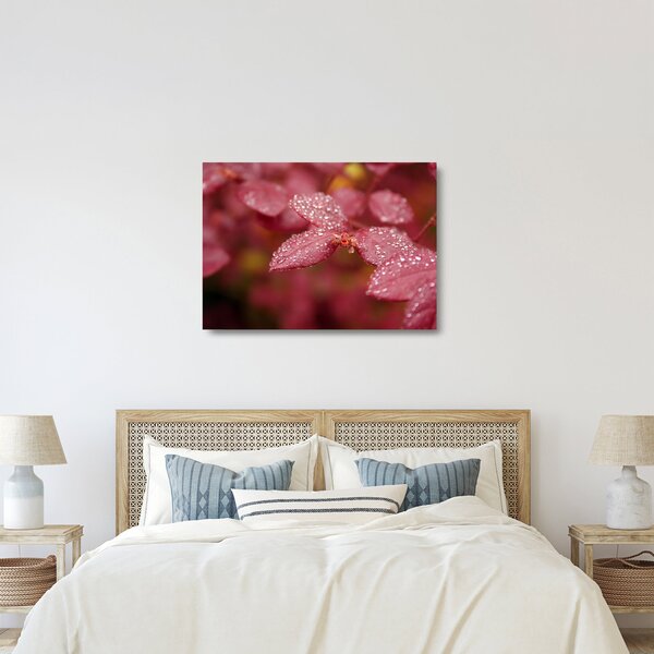 Staklena slika - Makro slika ulaznice (70x50 cm)