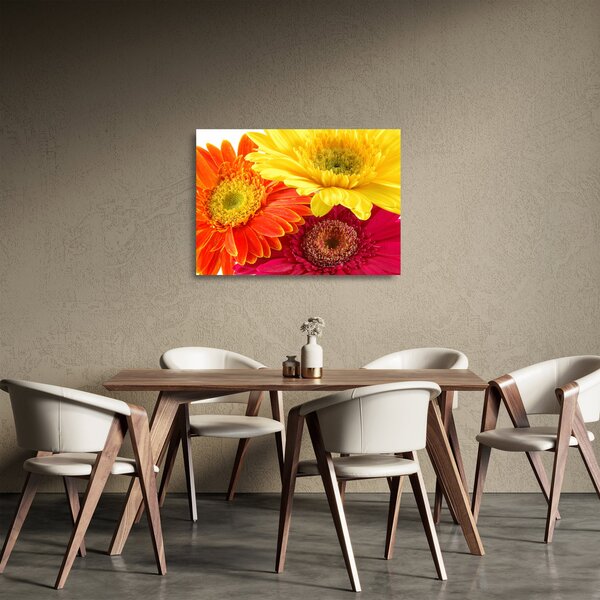 Staklena slika - Cvijeće Gerbery (70x50 cm)