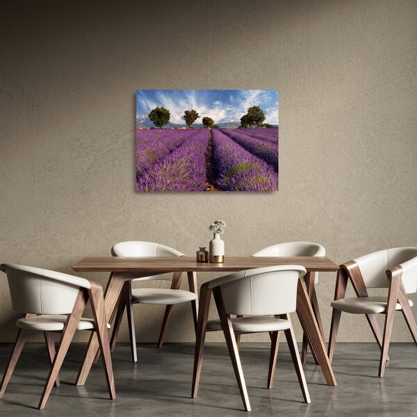 Staklena slika - Polje lavande i planine (70x50 cm)