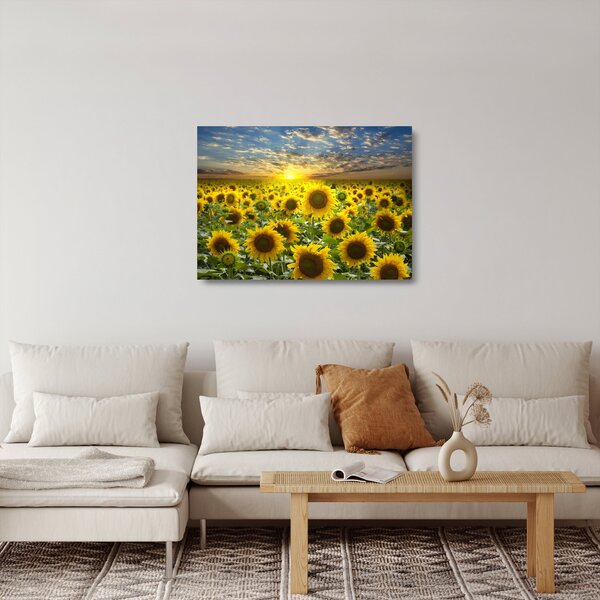 Staklena slika - Suncokreti na zalasku sunca (70x50 cm)