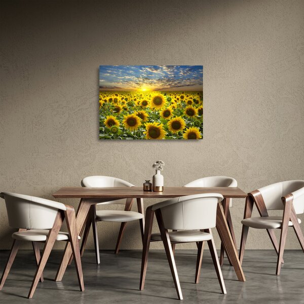 Staklena slika - Suncokreti na zalasku sunca (70x50 cm)