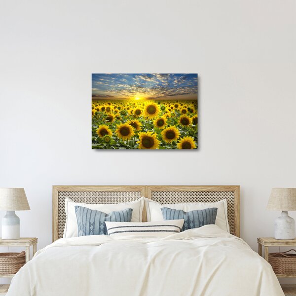 Staklena slika - Suncokreti na zalasku sunca (70x50 cm)