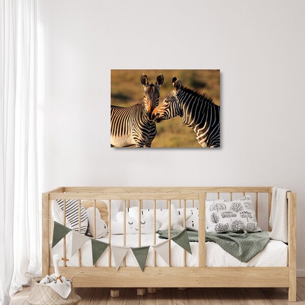 Staklena slika - Dvije zebre (70x50 cm)