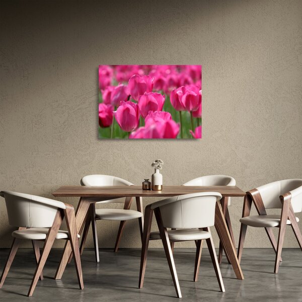 Staklena slika - Ružičasti tulipani (70x50 cm)