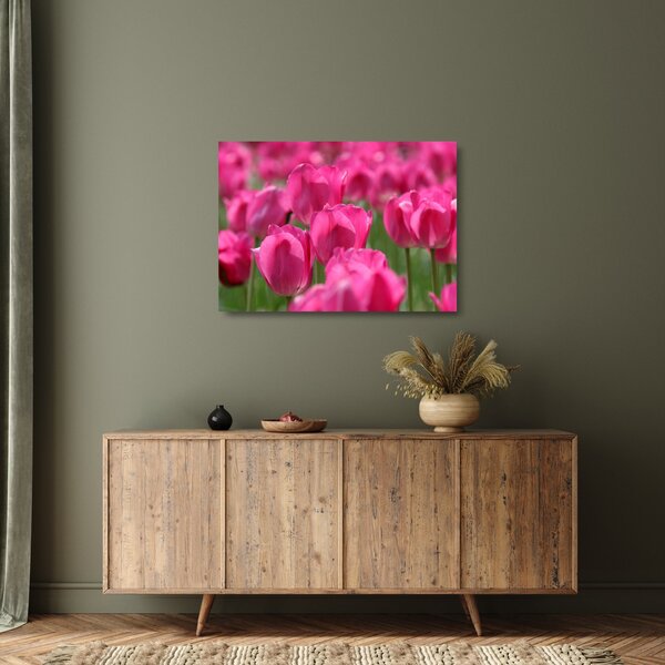 Staklena slika - Ružičasti tulipani (70x50 cm)