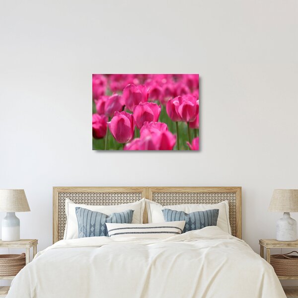 Staklena slika - Ružičasti tulipani (70x50 cm)