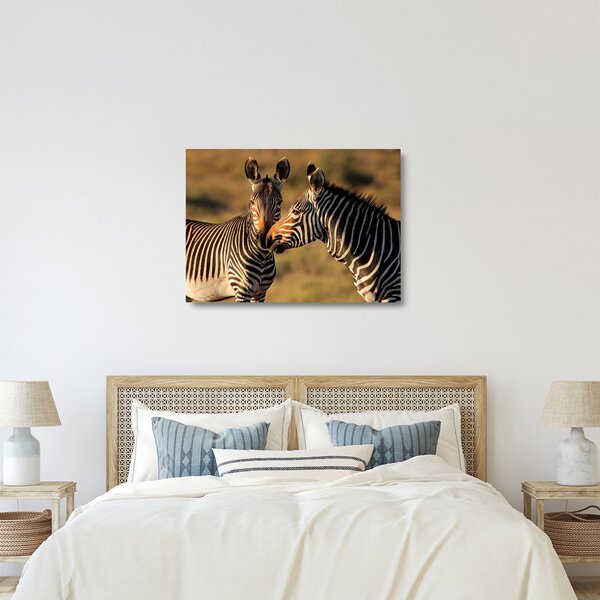 Staklena slika - Dvije zebre (70x50 cm)