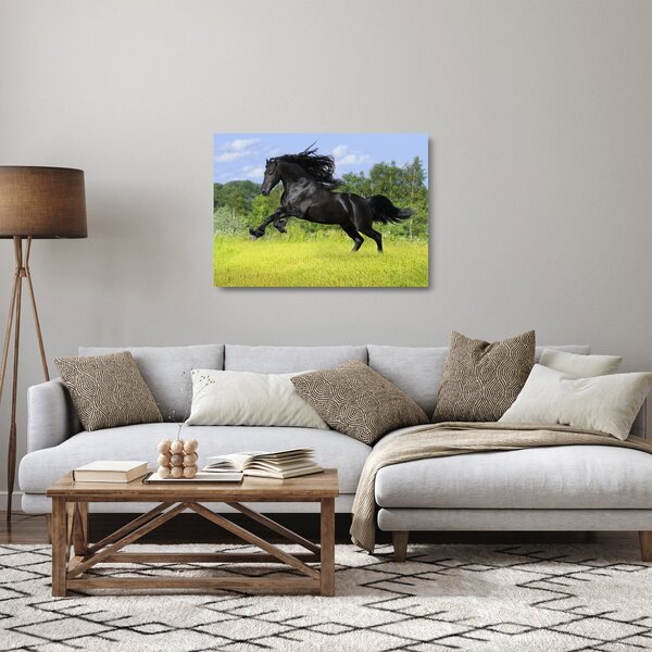 Staklena slika - Konj s lepršavom grivom (70x50 cm)