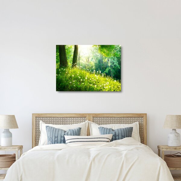 Staklena slika - Čarobna livada puna maslačaka (70x50 cm)