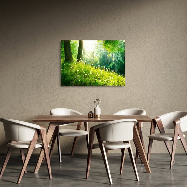 Staklena slika - Čarobna livada puna maslačaka (70x50 cm)