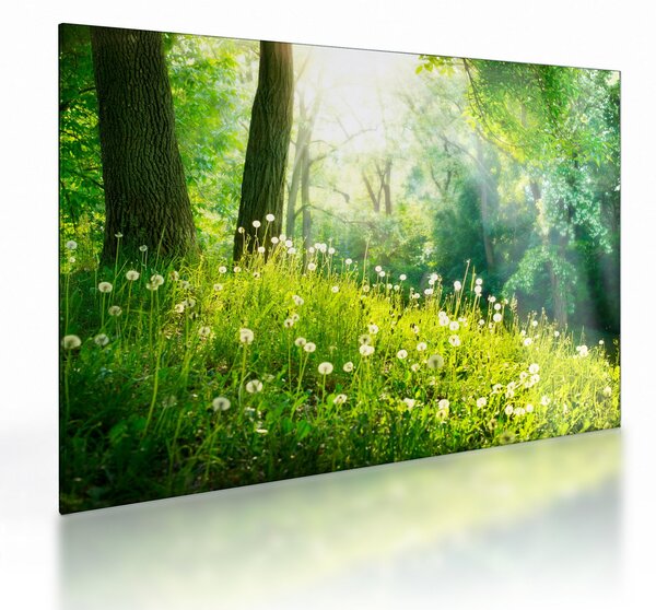 Staklena slika - Čarobna livada puna maslačaka (70x50 cm)