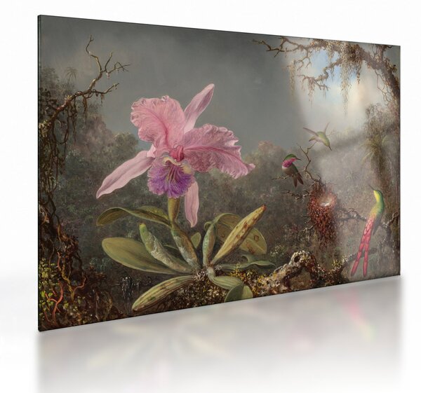 Staklena slika - Martin Johnson Heade, Cattleya Orchid and Three Hummingbirds, reprodukcije (70x50 cm)