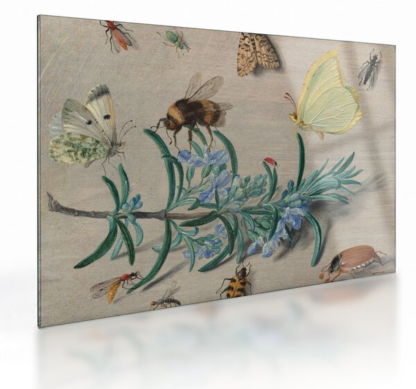Staklena slika - Jan van Kessel the Elder, Insects and a Sprig of Rosemary, reprodukcije (70x50 cm)