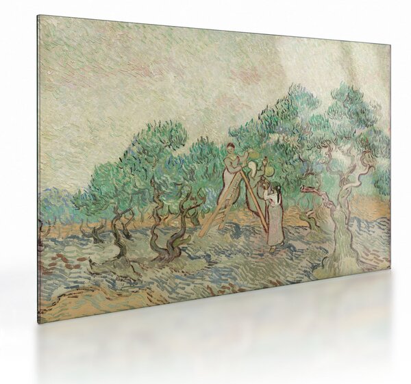 Staklena slika - Vincent van Gogh, The Olive Orchard, reprodukcije (70x50 cm)