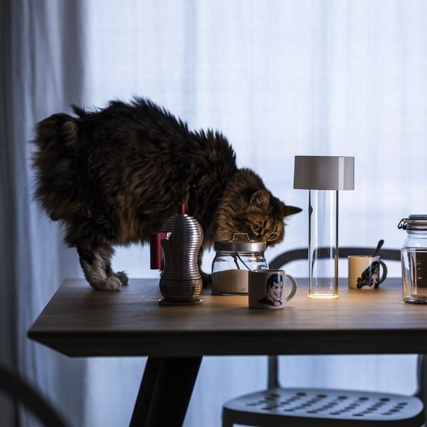 Stolne Lampa Foscarini, Fleur, prigušiv, Bijela, Dnevna soba, Staklo, Moderan