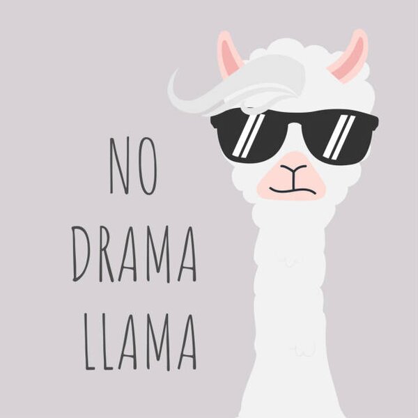 Ilustracija Cute Llama design with no drama, Nesser3321