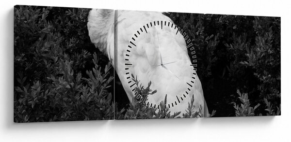 Slika - Paun, crno-bijela (sa satom) (90x30 cm)