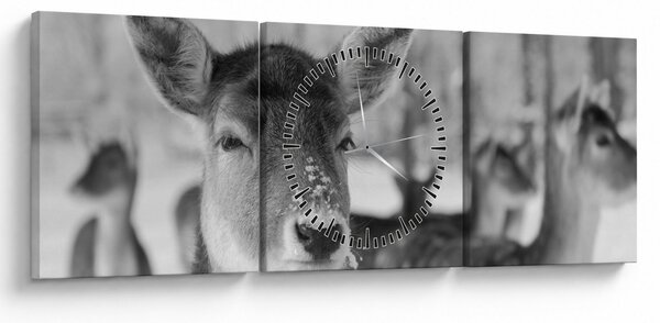 Slika - Bambi, crno-bijela (sa satom) (90x30 cm)