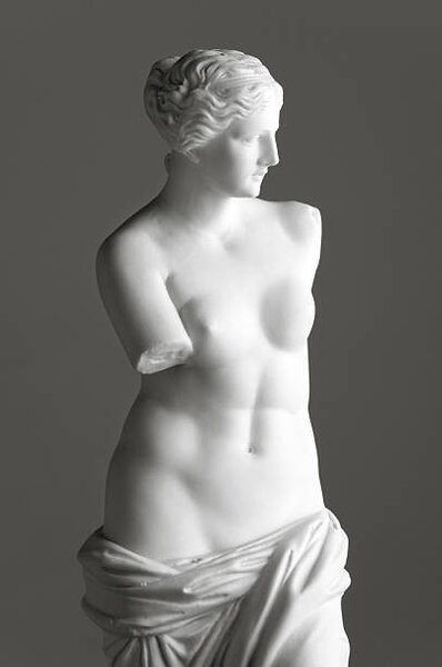 Umjetnička fotografija Venus de Milo on grey, 221A, (26.7 x 40 cm)