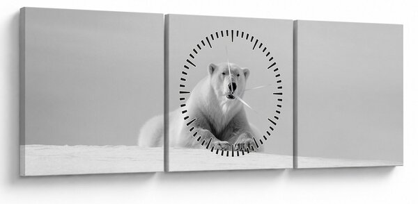 Slika - Polarni medvjed, crno-bijela (sa satom) (90x30 cm)