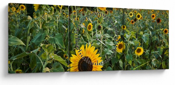 Slika - Polje suncokreta II. (sa satom) (90x30 cm)