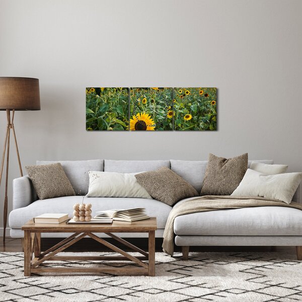 Slika - Polje suncokreta II. (sa satom) (90x30 cm)