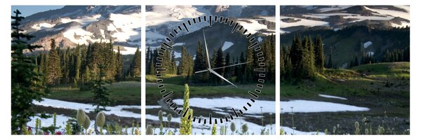 Slika - Mount Rainier (sa satom) (90x30 cm)