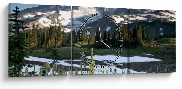 Slika - Mount Rainier (sa satom) (90x30 cm)