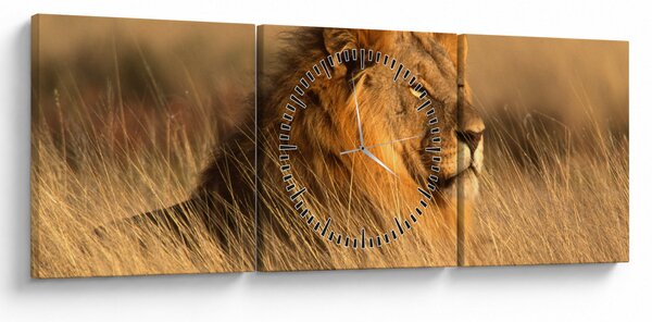Slika - Nacionalni park Etosha (sa satom) (90x30 cm)