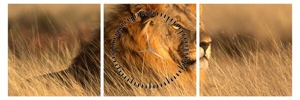 Slika - Nacionalni park Etosha (sa satom) (90x30 cm)