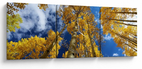 Slika - Aspen (sa satom) (90x30 cm)